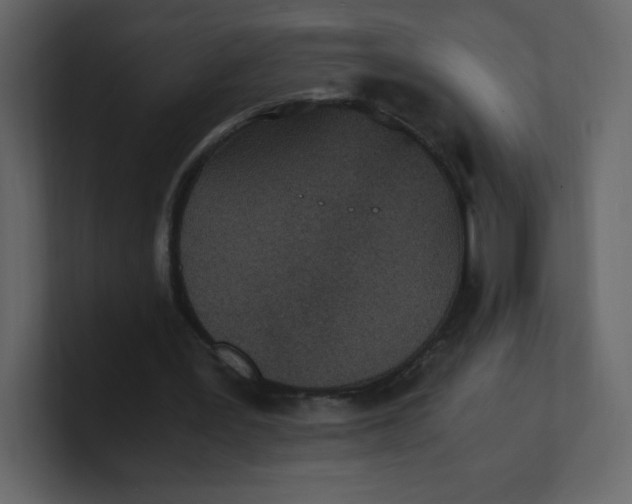 X0000100940387200807151311