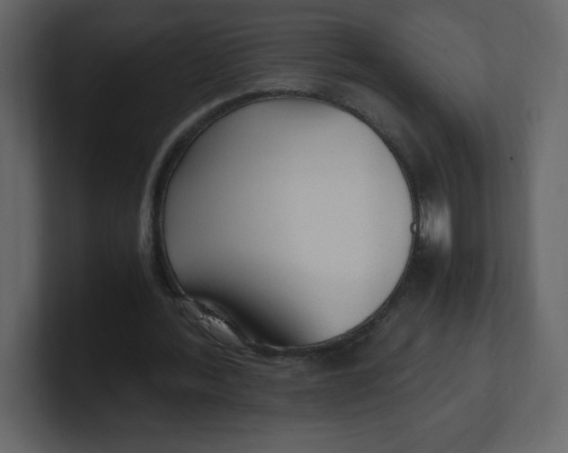 X0000100940388200807151311