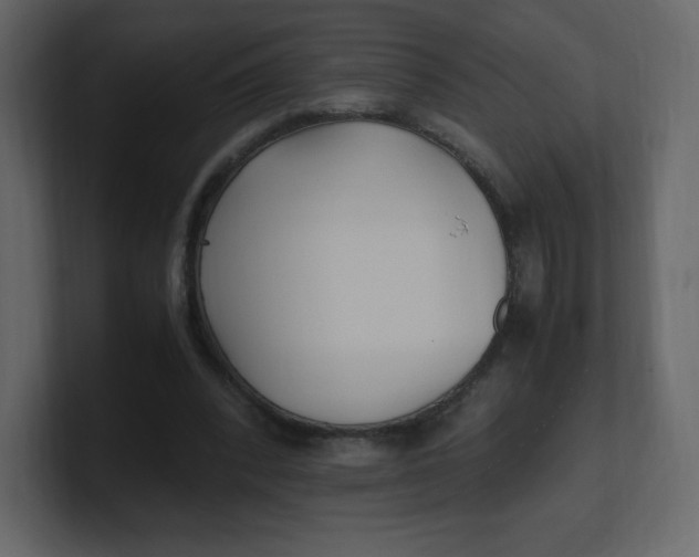 X0000100940392200807151311