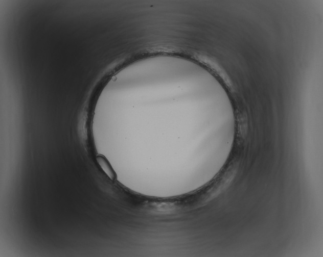 X0000100940395200807151310