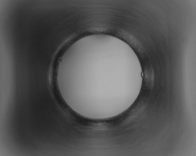 X0000100940396200807151310