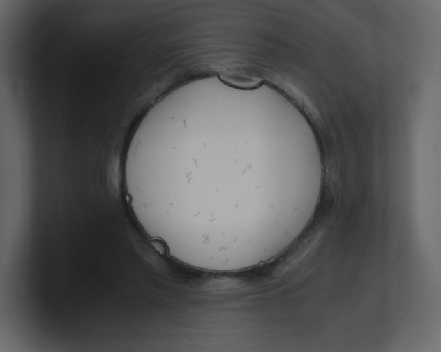 X0000100940397200807151310