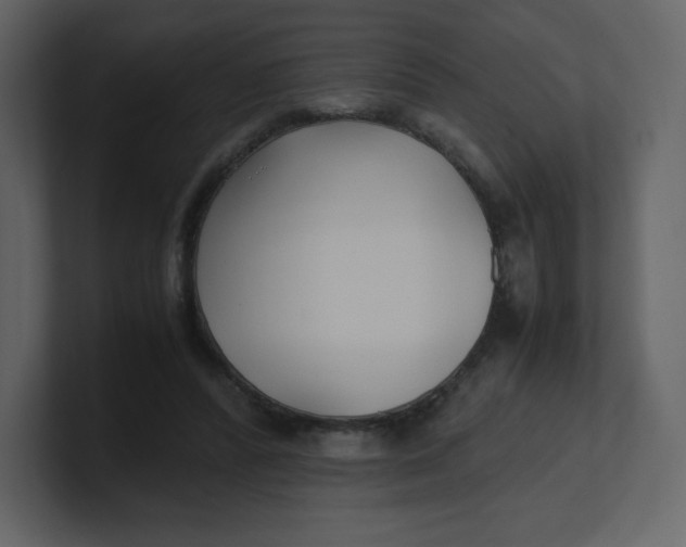 X0000100940400200807151310