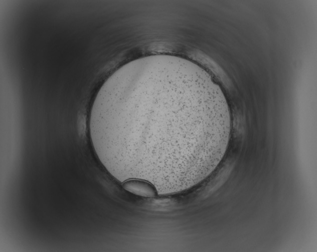 X0000100940401200807151310