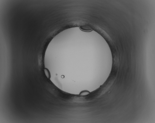 X0000100940403200807151310