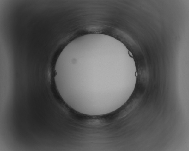 X0000100940404200807151310