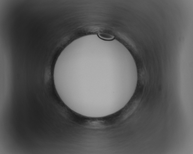 X0000100940407200807151310