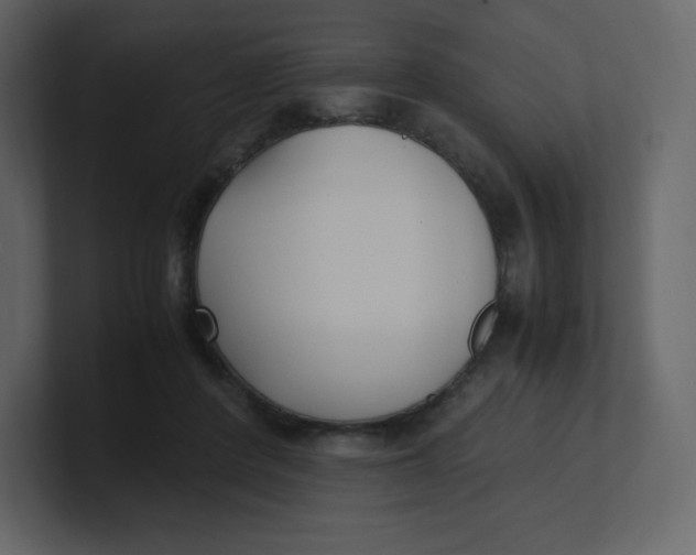 X0000100940408200807151310