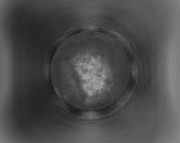 X0000100940409200807151310