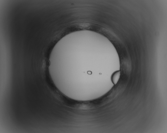 X0000100940412200807151310