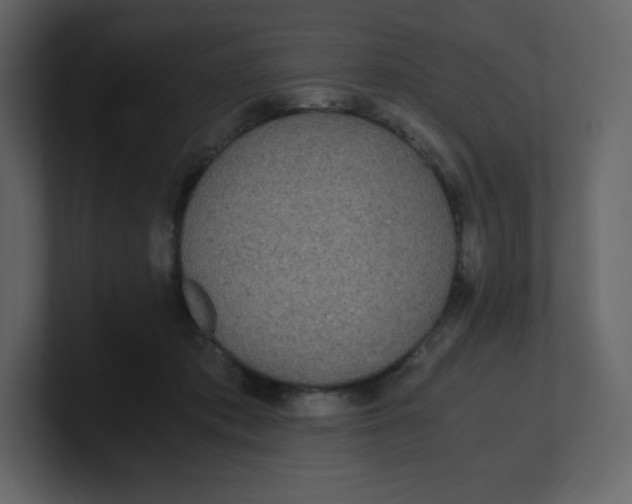 X0000100940413200807151310