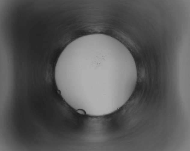 X0000100940414200807151310