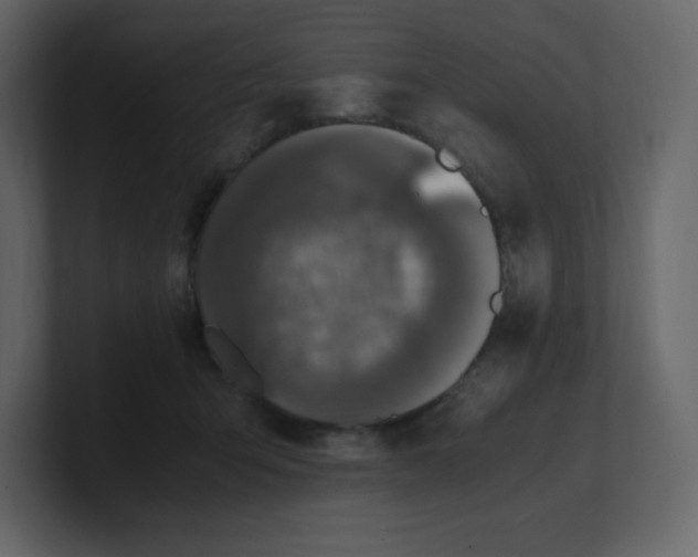 X0000100940415200807151310