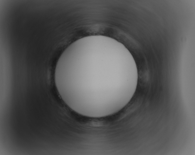 X0000100940416200807151310