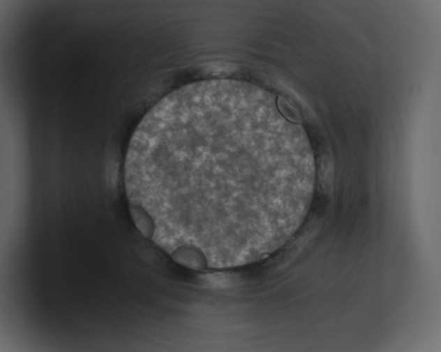 X0000100940417200807151310