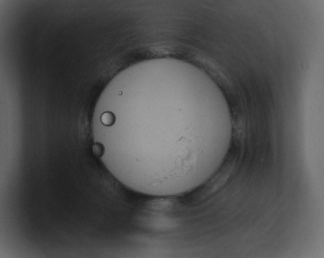 X0000100940418200807151310