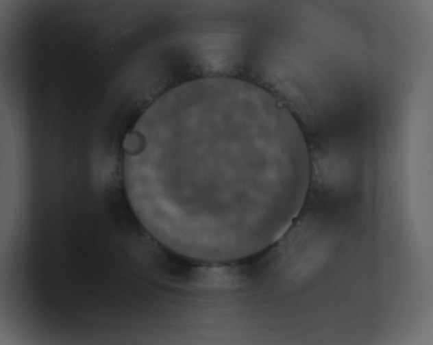 X0000100940419200807151310