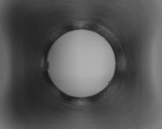 X0000100940420200807151310