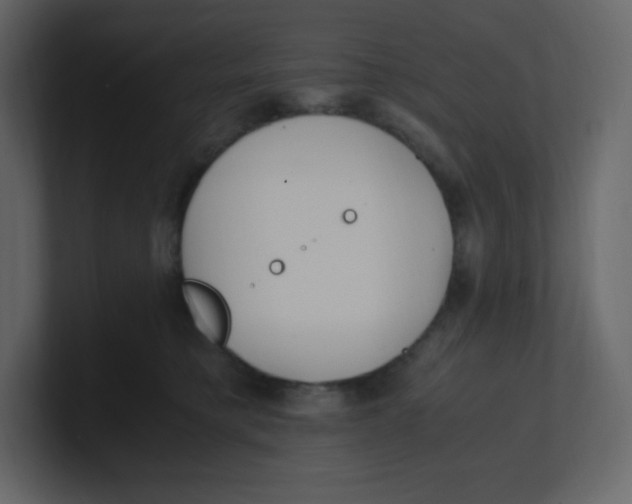 X0000100940421200807151310