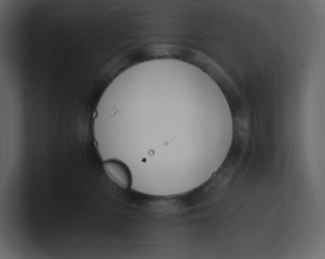 X0000100940422200807151310