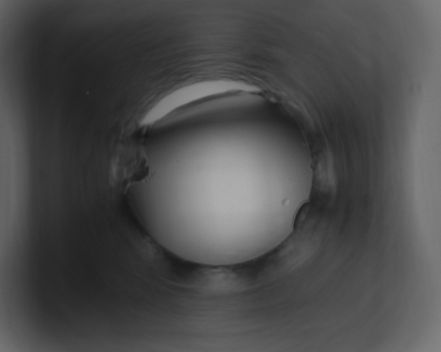 X0000100940424200807151310