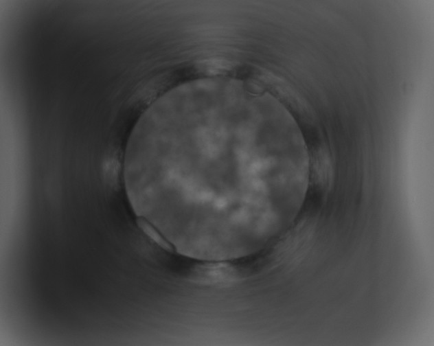 X0000100940427200807151310