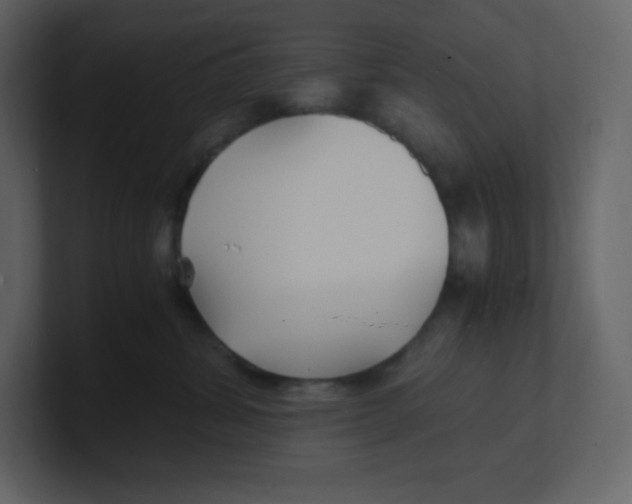 X0000100940428200807151310