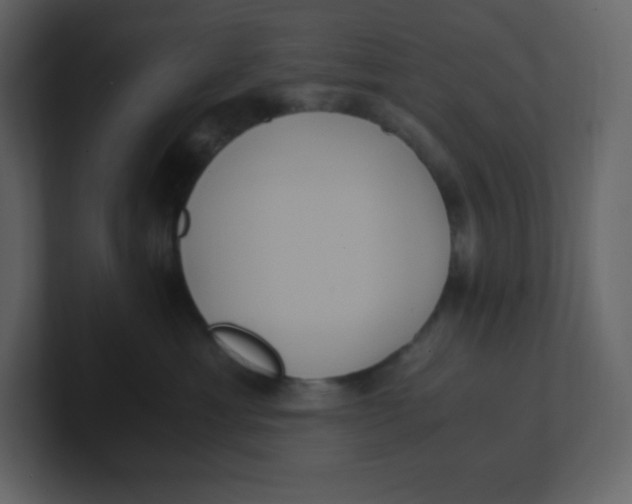 X0000100940429200807151310