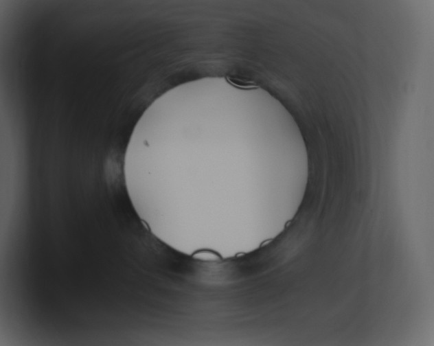 X0000100940432200807151310