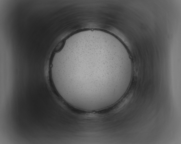 X0000100940437200807151309