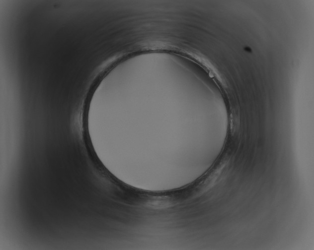 X0000100940438200807151309