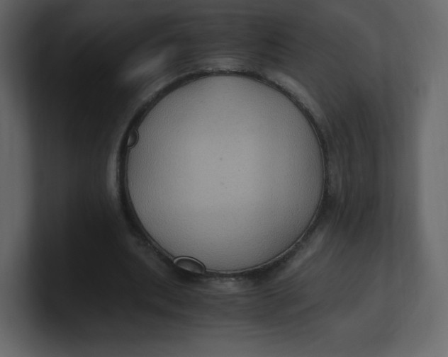 X0000100940439200807151309