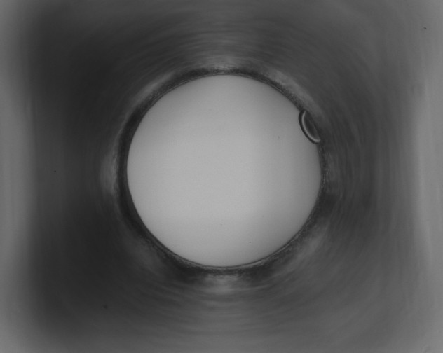 X0000100940440200807151309