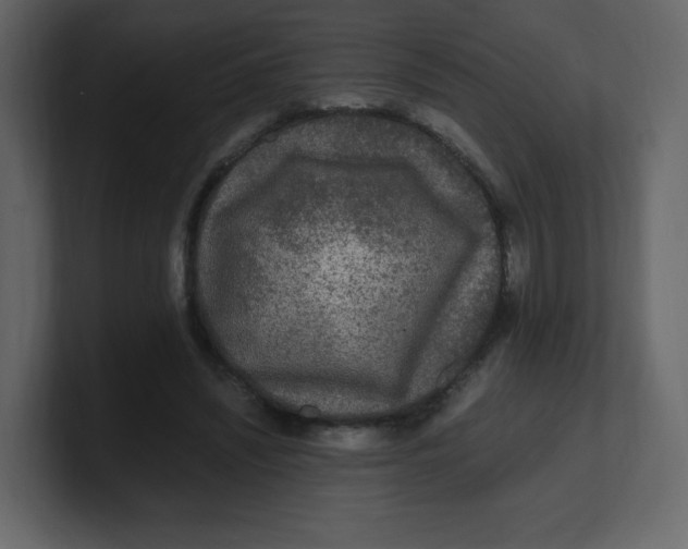 X0000100940444200807151309