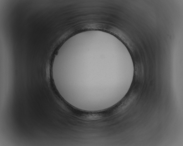 X0000100940445200807151309