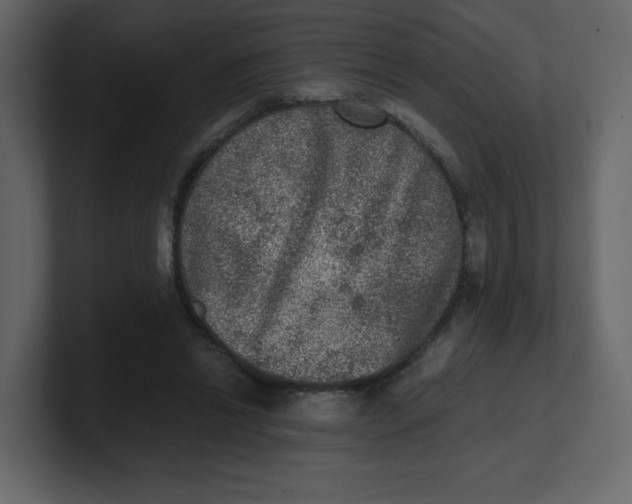 X0000100940446200807151309