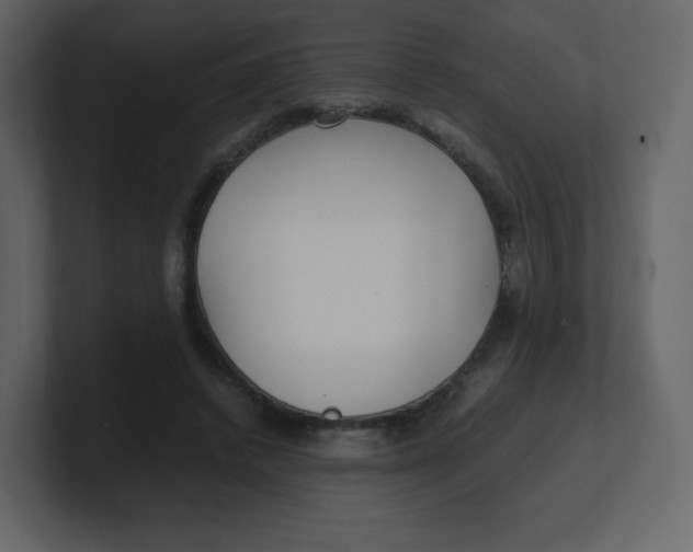 X0000100940448200807151309