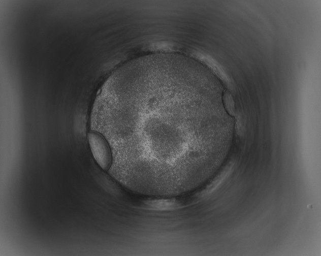 X0000100940449200807151310