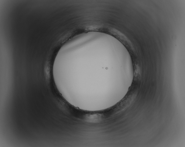 X0000100940452200807151310