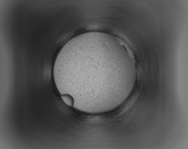 X0000100940454200807151310