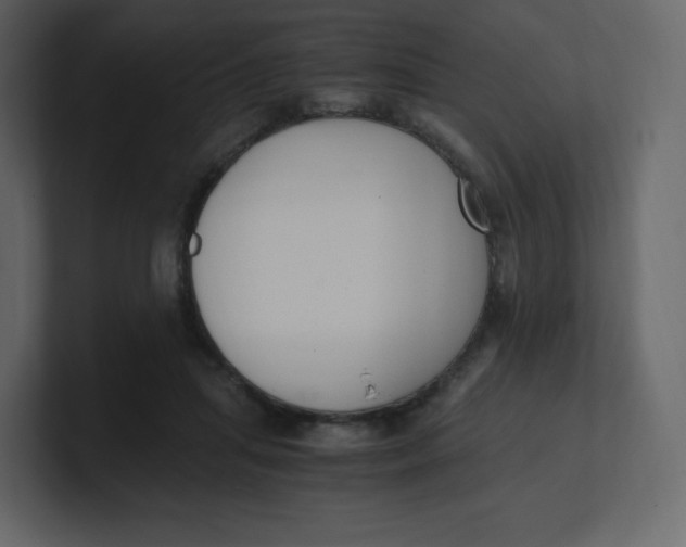 X0000100940455200807151310