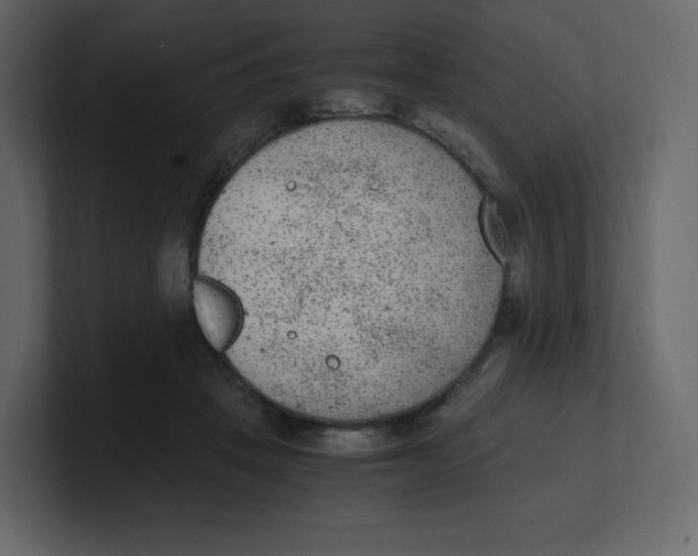 X0000100940457200807151310