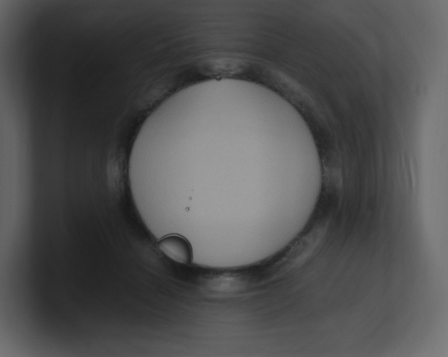 X0000100940460200807151310