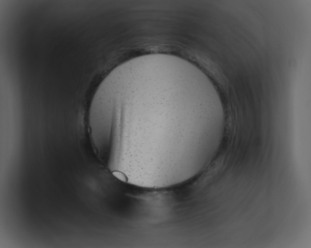 X0000100940461200807151310