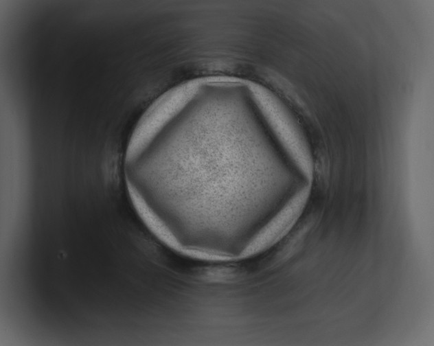 X0000100940462200807151310