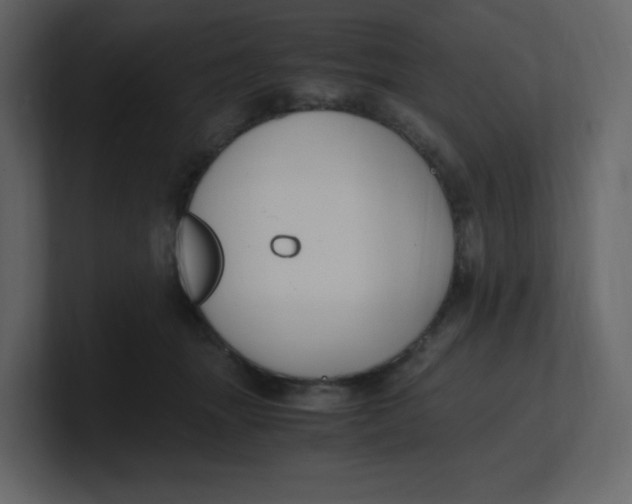 X0000100940463200807151310