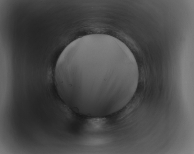 X0000100940465200807151310