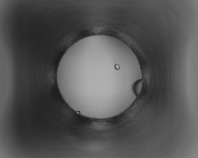 X0000100940470200807151310