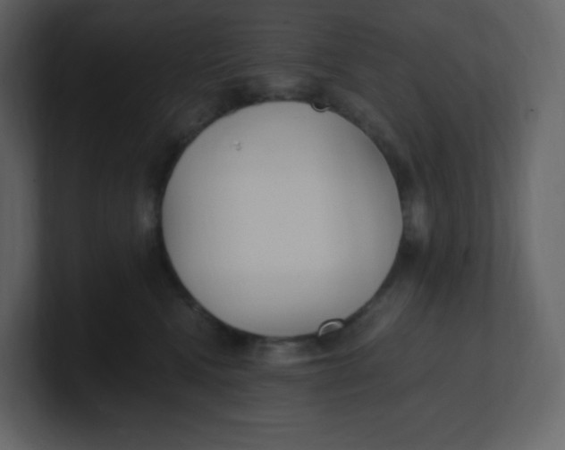 X0000100940472200807151310