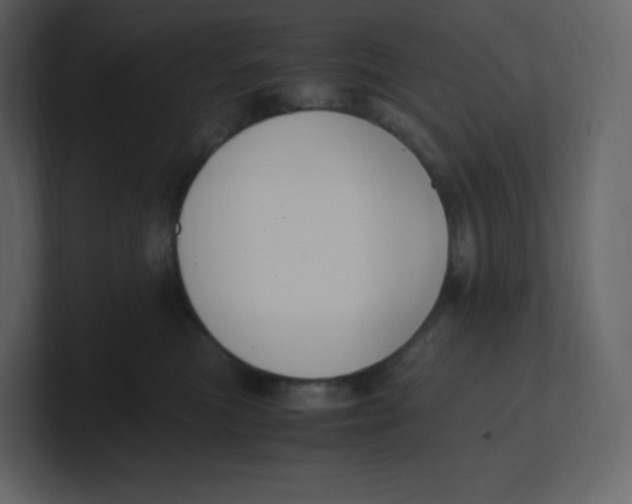 X0000100940473200807151310